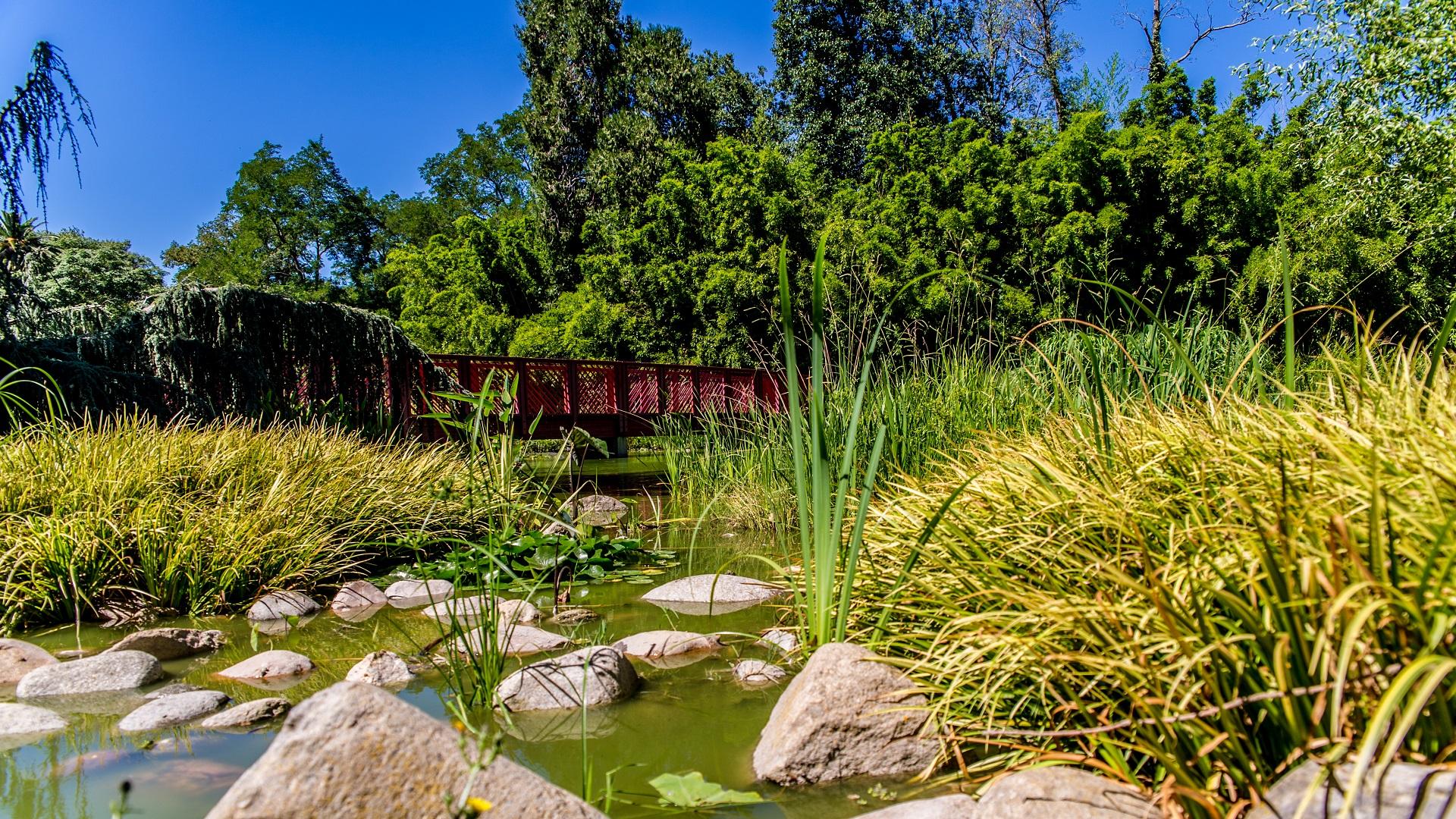 Jardin des Plantes de Saint-Cyprien - Office de Tourisme de Saint-Cyprien